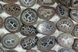 Lot: to Small Cut Septarian Nodules - Pairs #92181-2
